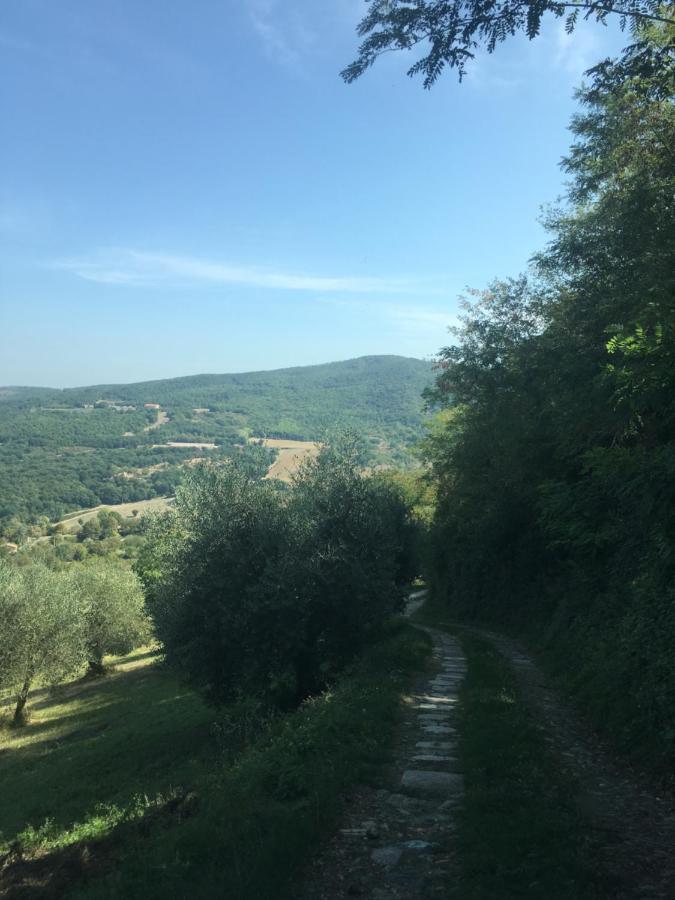 Villa San Regolino Whit Private Pool Radicondoli Kültér fotó