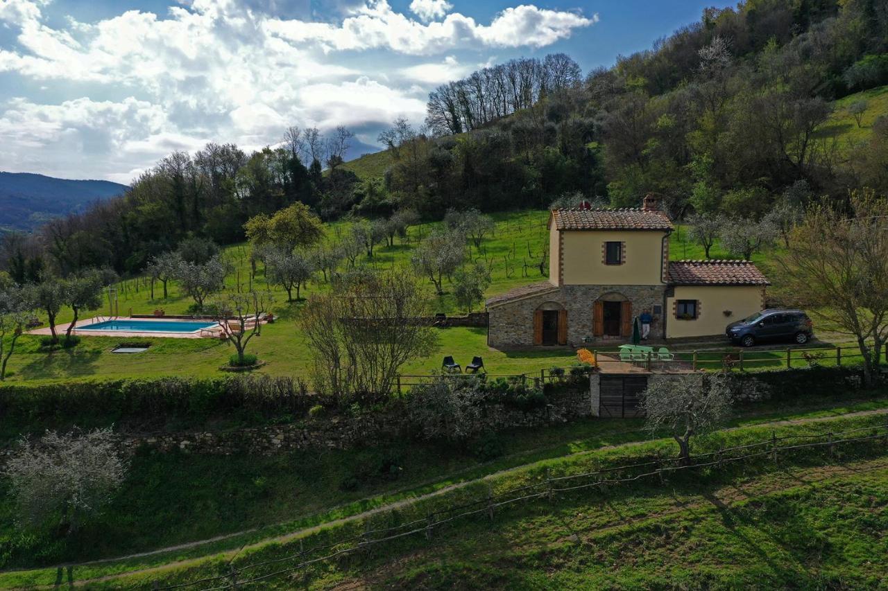 Villa San Regolino Whit Private Pool Radicondoli Kültér fotó