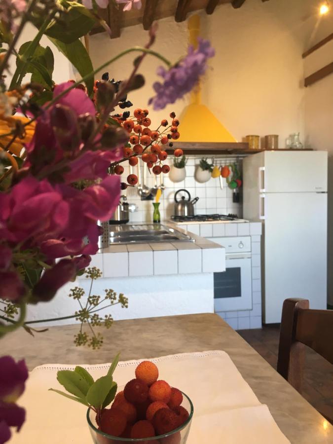 Villa San Regolino Whit Private Pool Radicondoli Kültér fotó